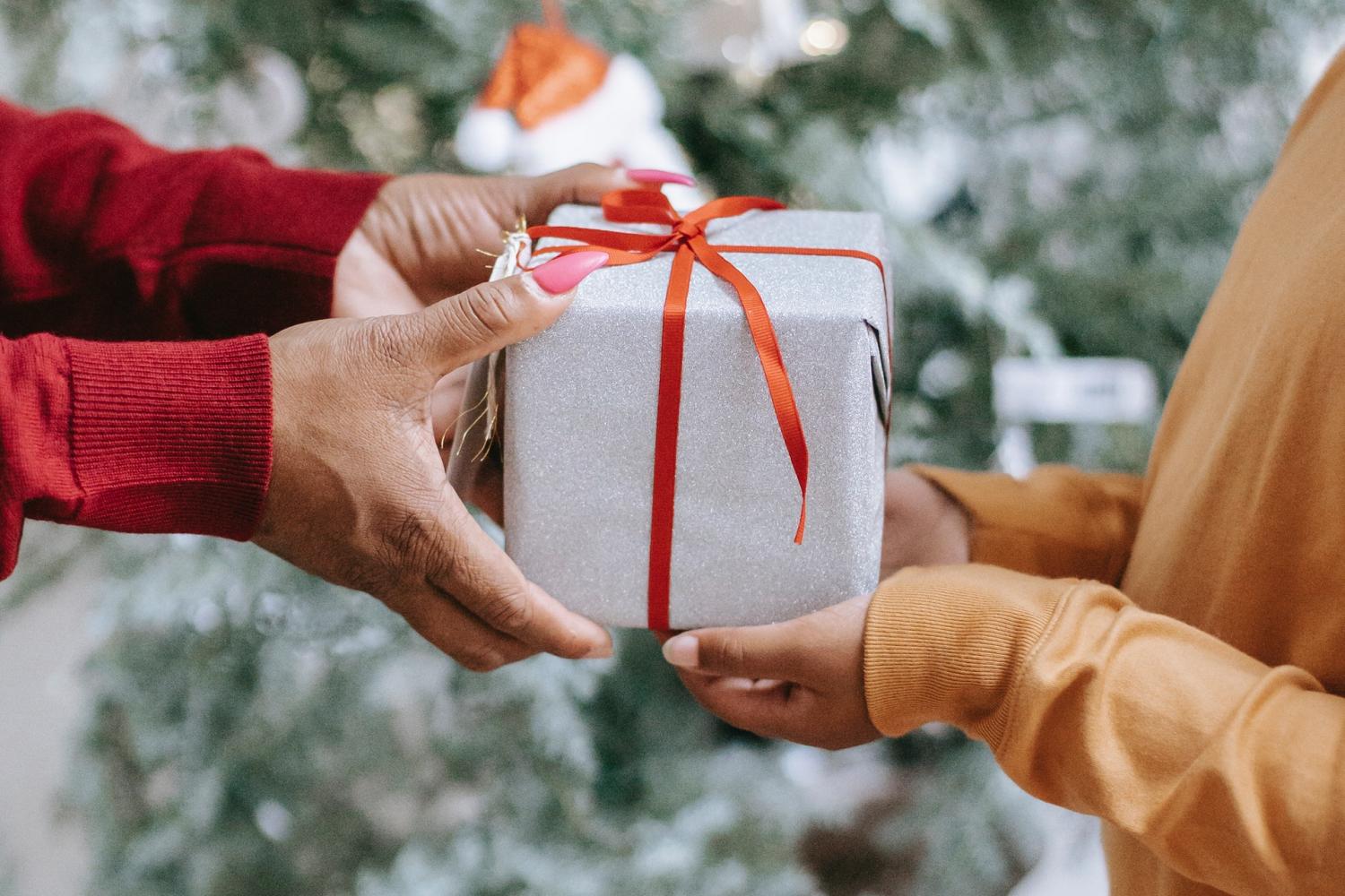 TriplePundit s Sustainable Holiday Gift Guide